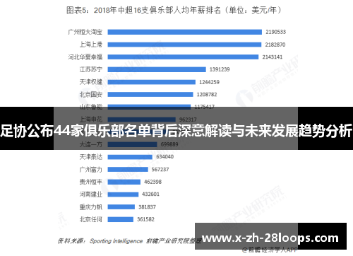 足协公布44家俱乐部名单背后深意解读与未来发展趋势分析