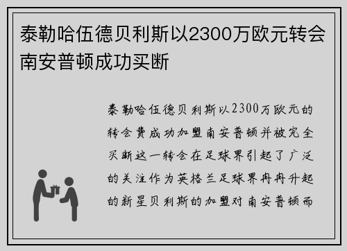 泰勒哈伍德贝利斯以2300万欧元转会南安普顿成功买断
